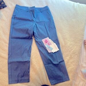 Ann Taylor Loft New Pants